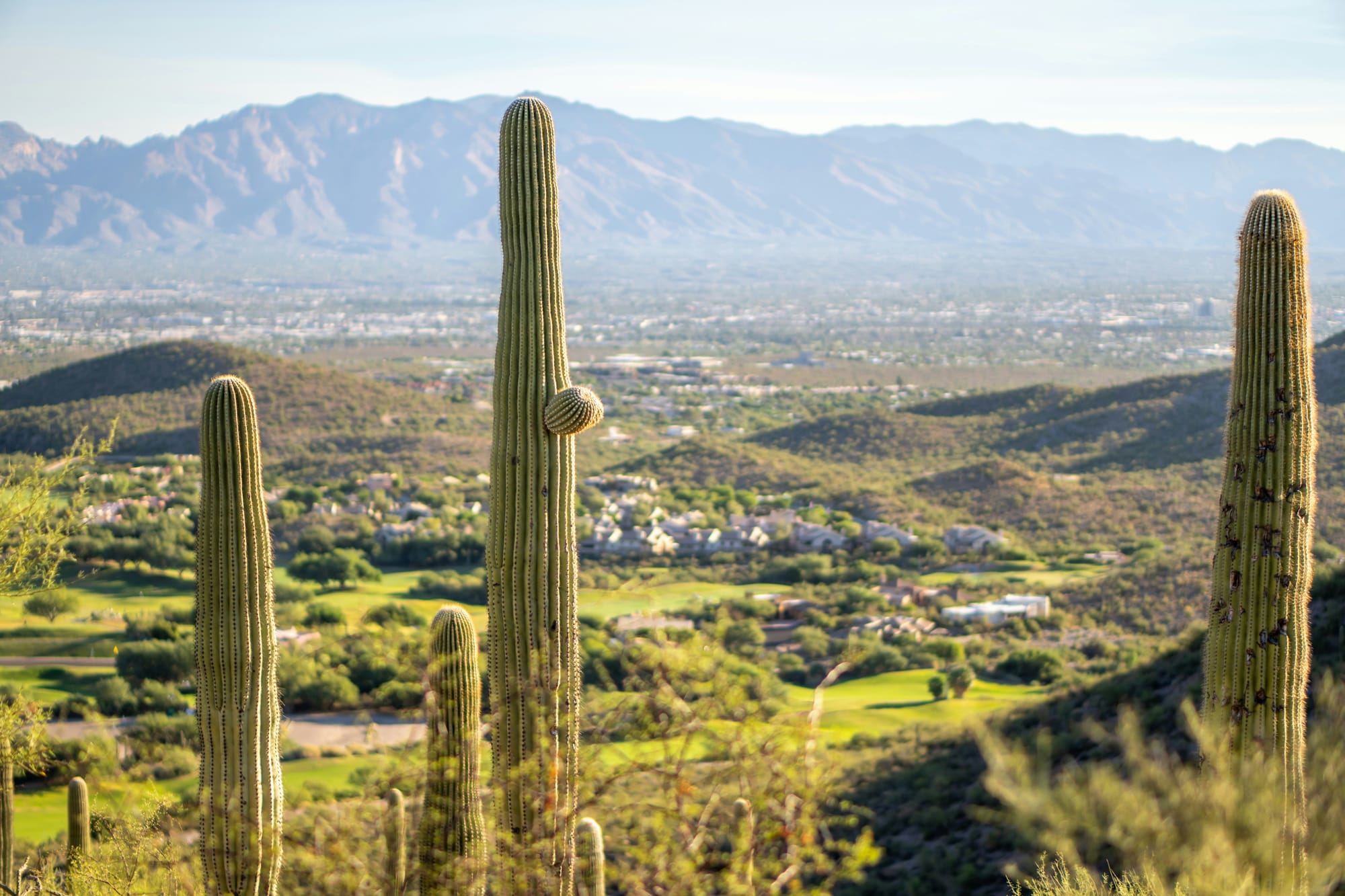Scottsdale golf trip preview