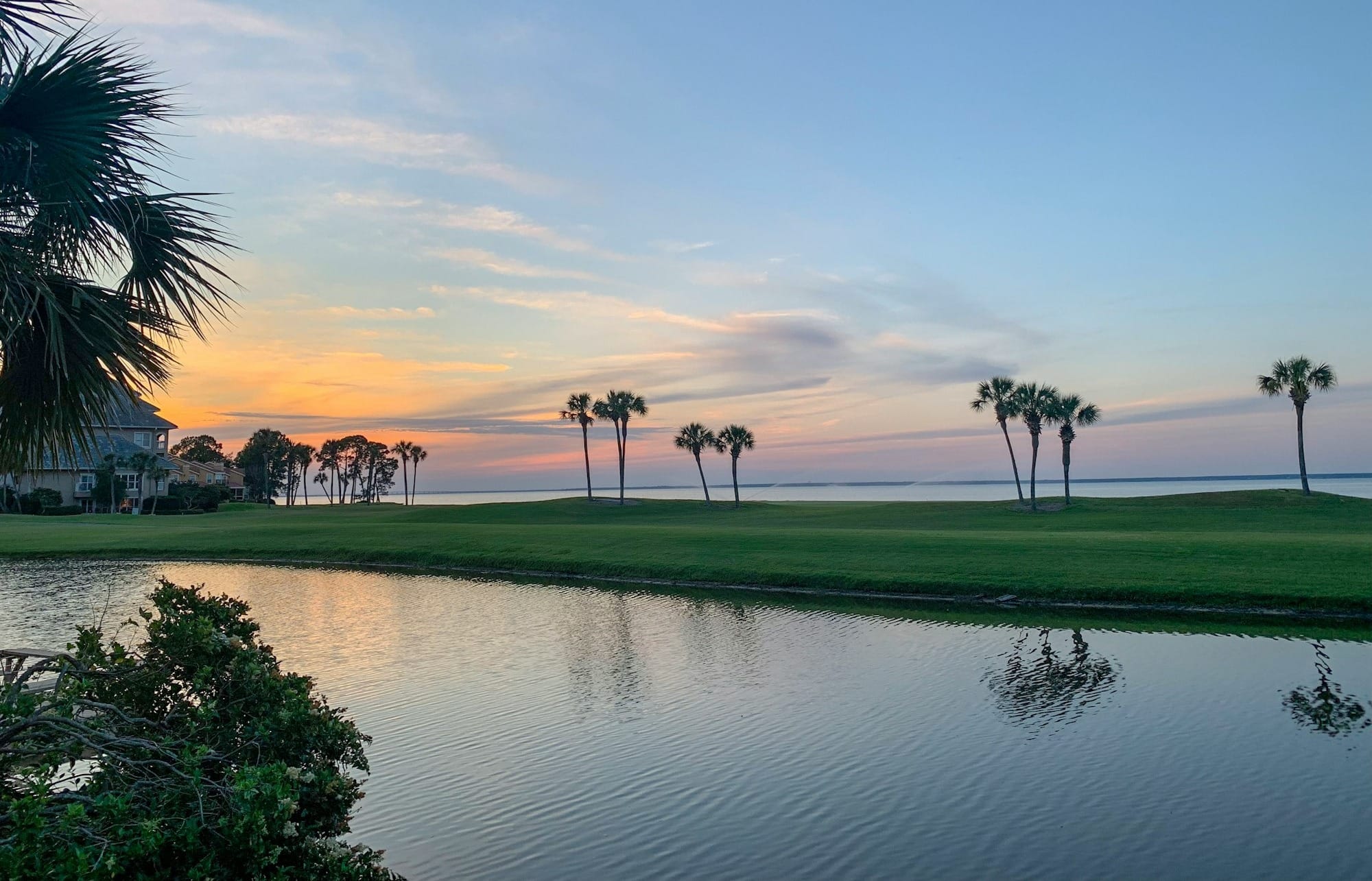 body of water near trees