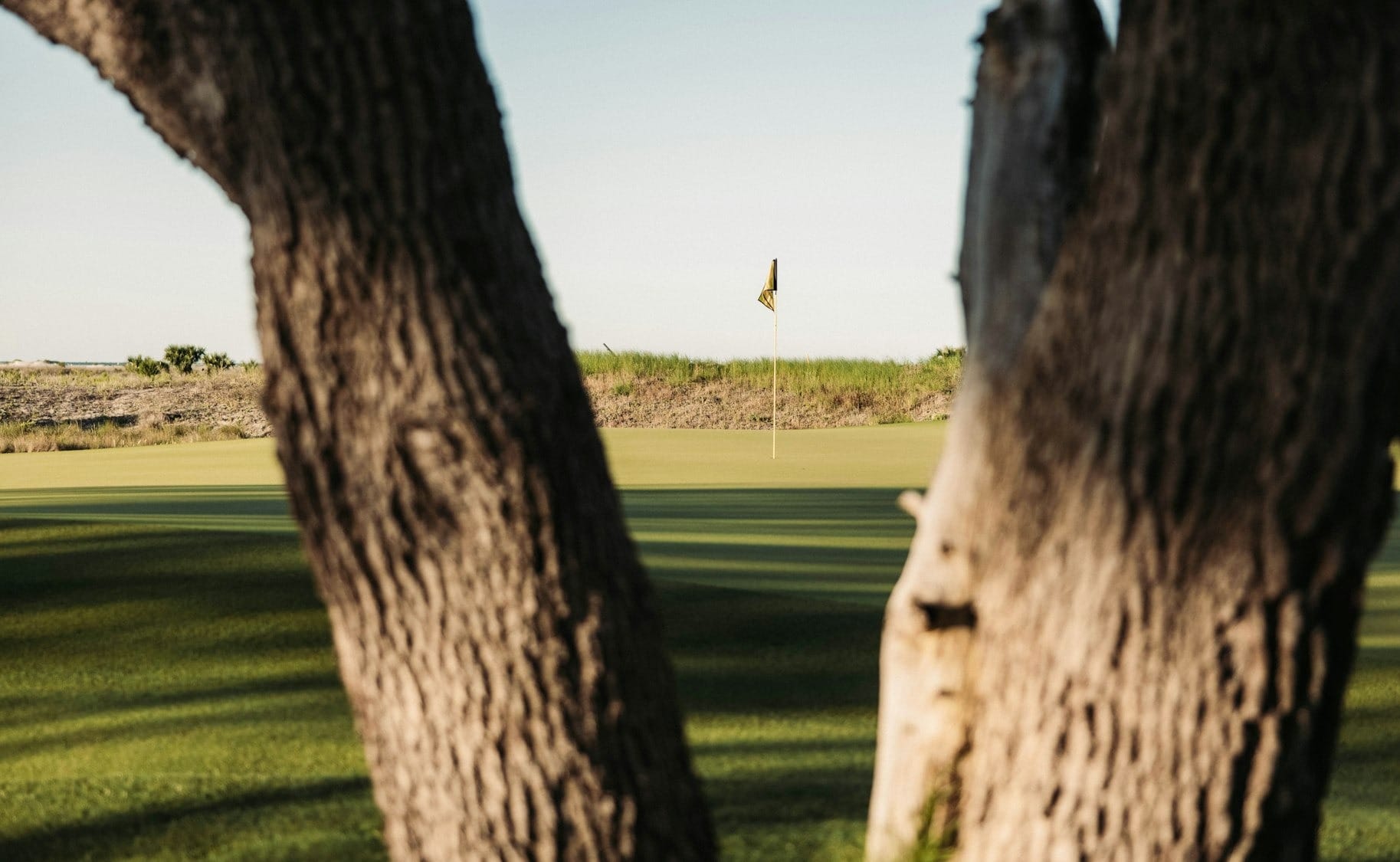 a view of a golf course through two trees