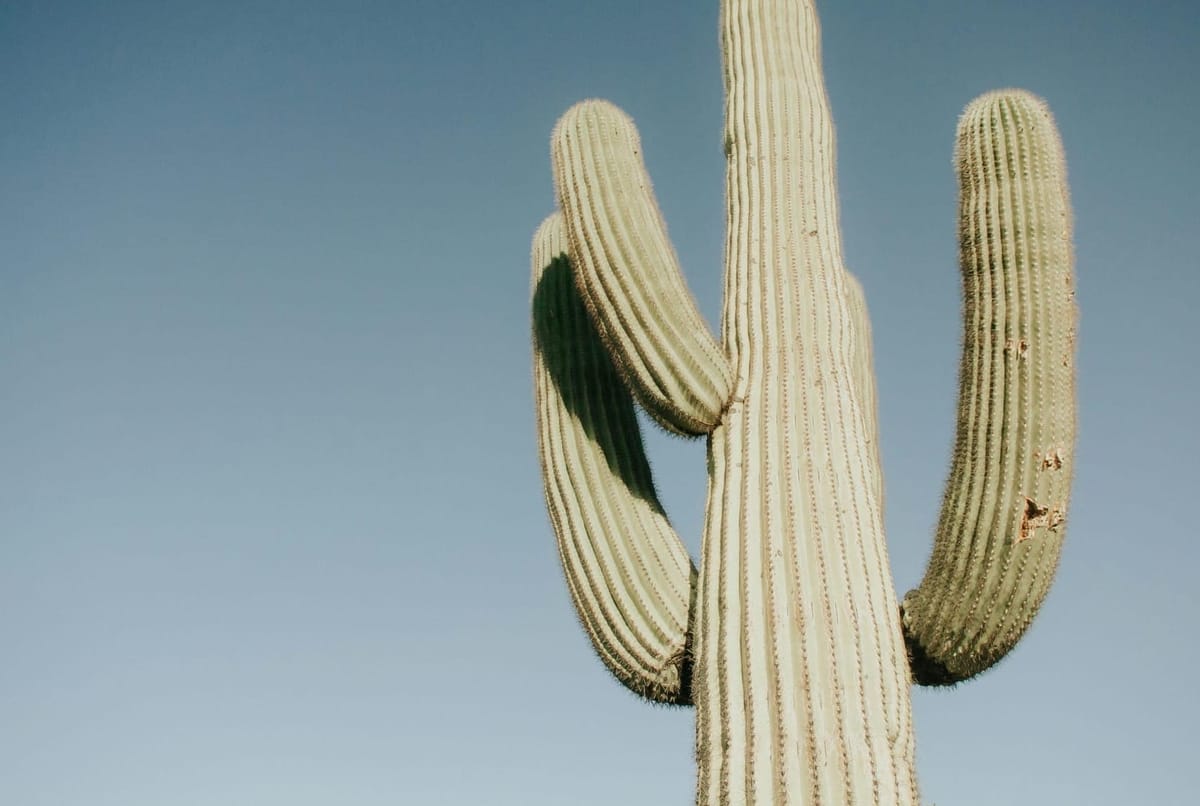 Is Scottsdale Good for Golf in January? What to Expect