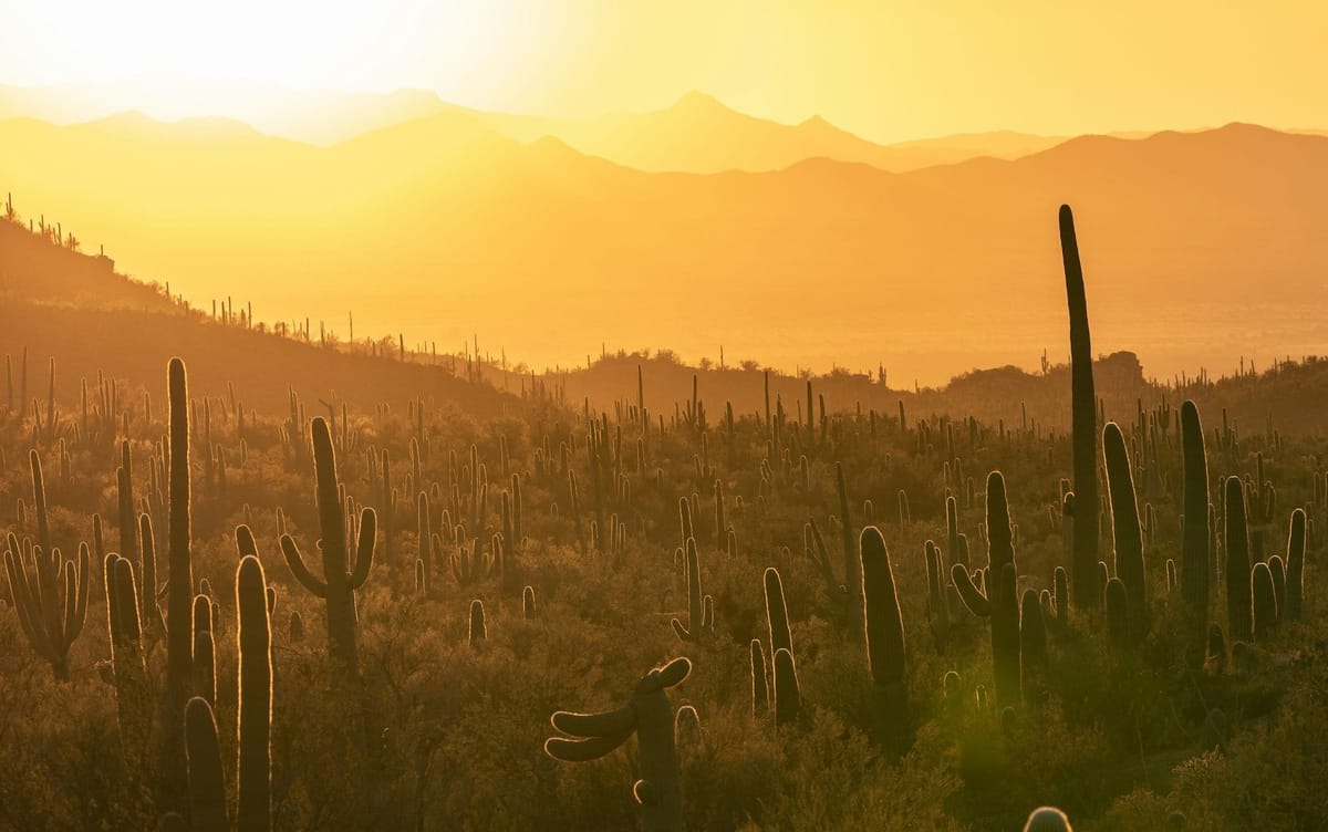 Best Time Not to Golf in Scottsdale: When to Avoid the Heat, Crowds, and Closures