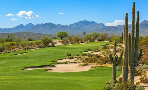 Best Bachelor Party Golf Destinations in the USA