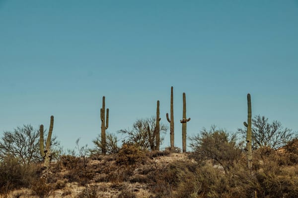 How Far in Advance to Book Tee Times in Scottsdale