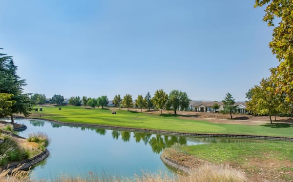 Best Scottsdale Golf Courses for High-Handicappers