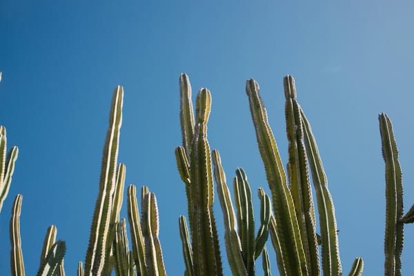 Best Scottsdale Golf Resorts for Bachelor Parties