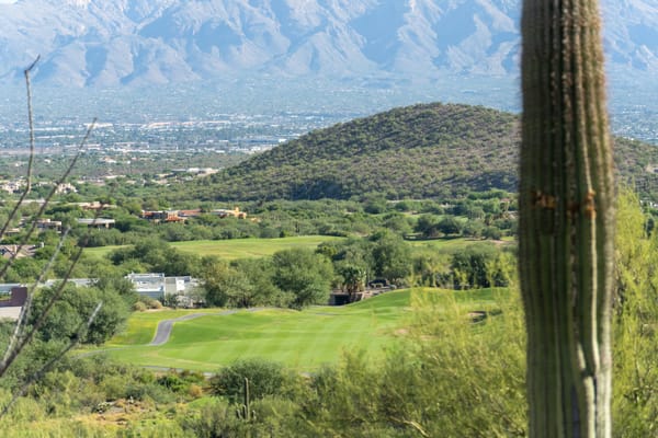 Best Public Golf Courses in Scottsdale for Groups
