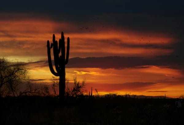 Best Scottsdale Golf Courses for Scenic Sunset Rounds