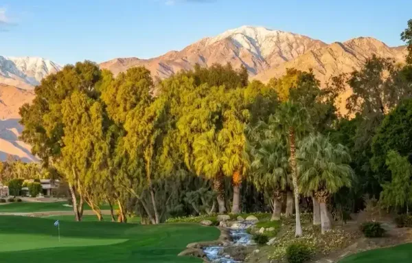 Best Palm Springs Golf Apps and Trip Planning Tools